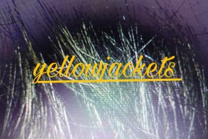 Yellowjackets Series